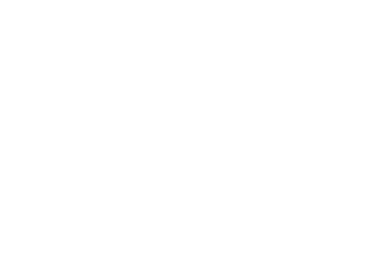 Nahualli Frontpage Logo White